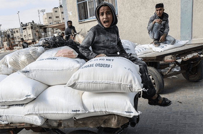 Xung đột Hamas-Israel: WFP đặt mục tiêu hỗ trợ lương thực cho 800.000 người Palestine