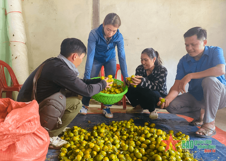 Phát triển sản xuất nông, lâm nghiệp, phát huy tiềm năng, thế mạnh của vùng đồng bào dân tộc thiểu số và miền núi: Xây dựng thương hiệu hồng không hạt