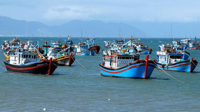 Bộ Nông nghiệp và Phát triển nông thôn thông tin về khắc phục "thẻ vàng" IUU