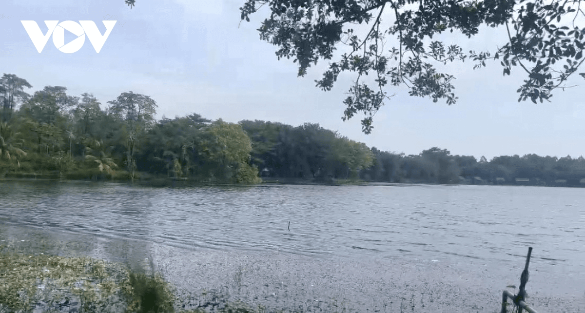 Khẩn trương tìm kiếm 4 cá thể cá sấu xổng chuồng ở Công viên văn hóa An Hòa, Kiên Giang