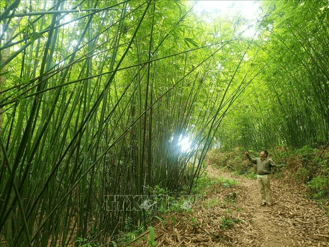Cán bộ cơ sở với đồng bào vùng dân tộc thiểu số