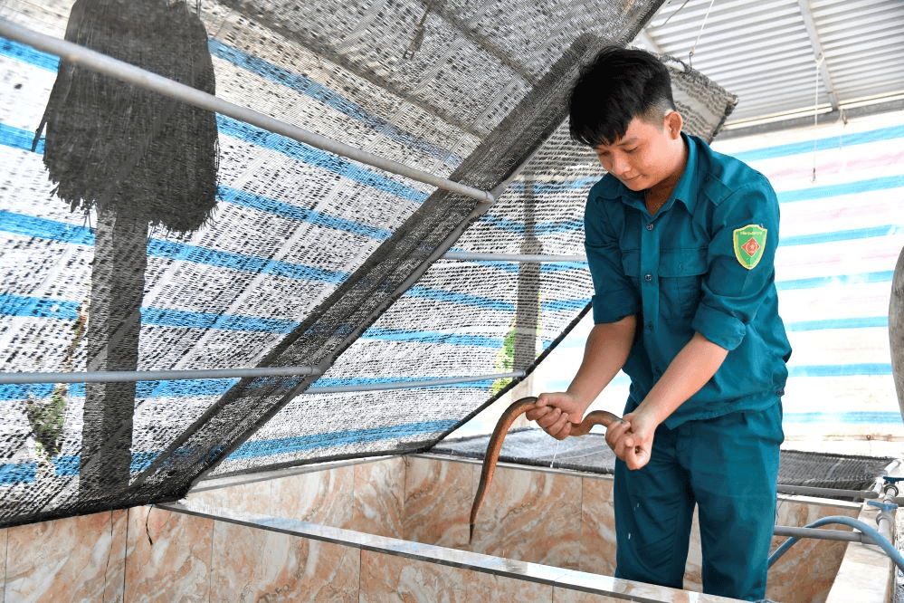 Chú trọng phát triển Đảng trong dân quân tự vệ