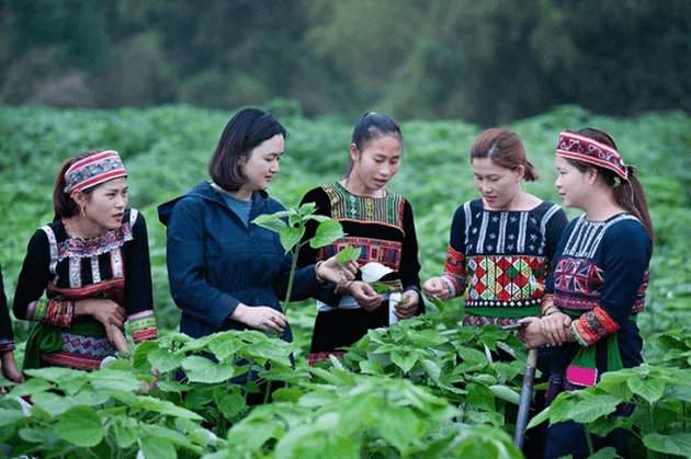 Hỏi-Đáp pháp luật: Nguồn vốn thực hiện bình đẳng giới và giải quyết những vấn đề cấp thiết đối với phụ nữ và trẻ em