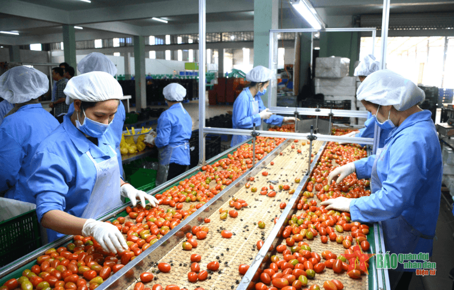 Tháo gỡ khó khăn, cải thiện môi trường đầu tư cho Tây Nguyên
