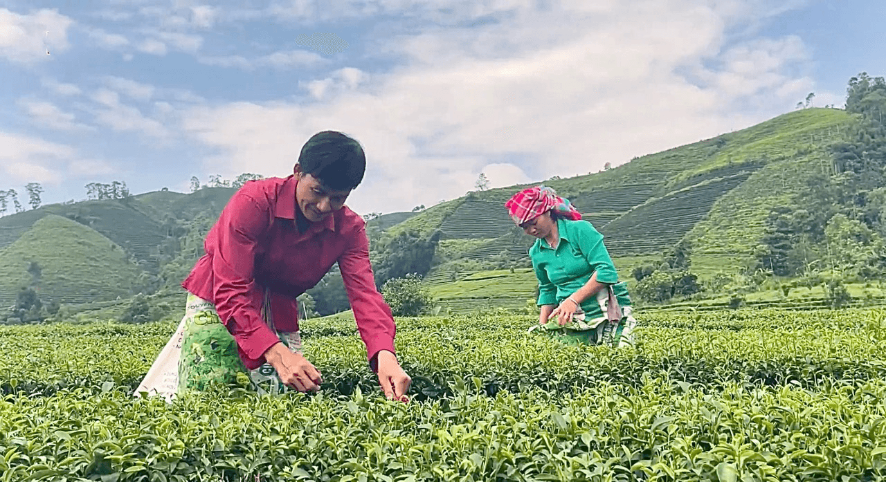 Huyện Tân Uyên (Lai Châu): Đổi thay diện mạo vùng nông thôn, miền núi