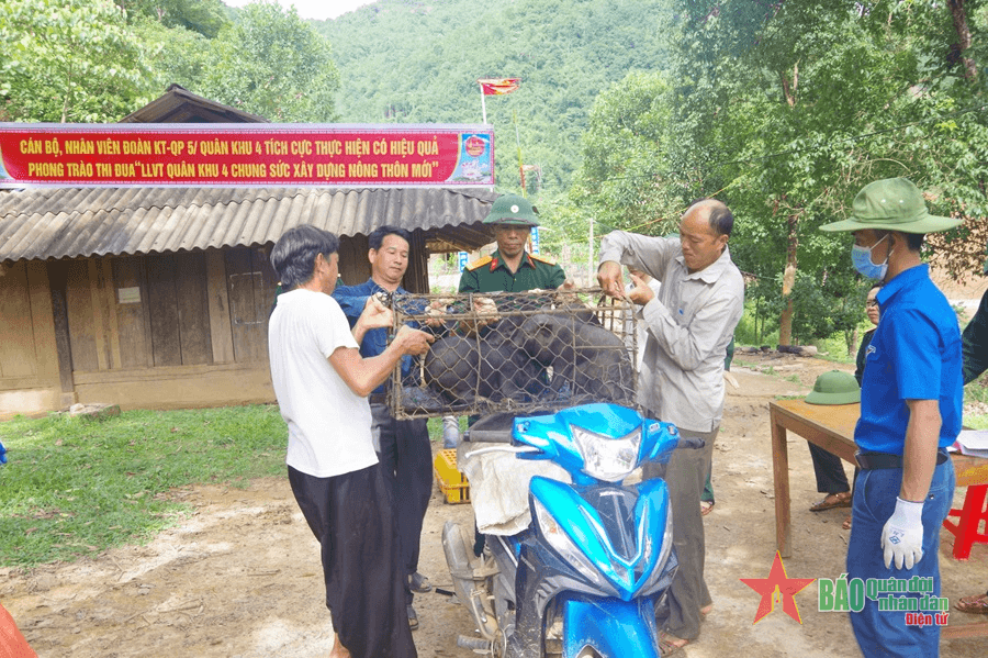 Tạo sinh kế để “đuổi cái nghèo” ở Mường Lát