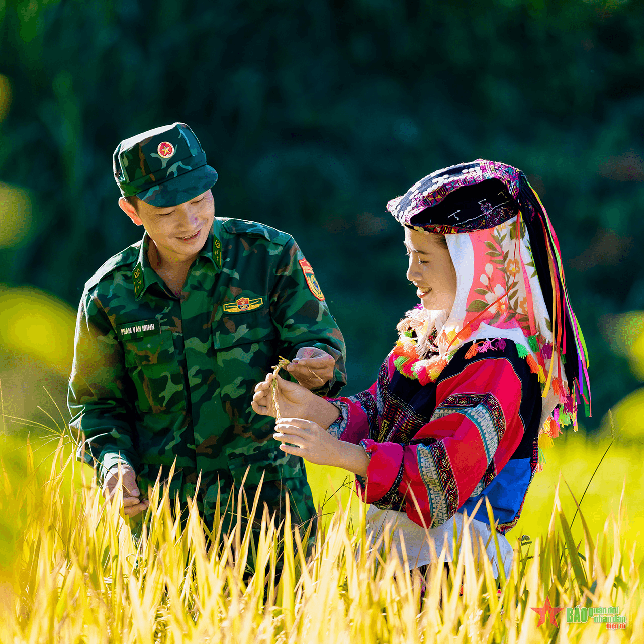 Tình quân dân