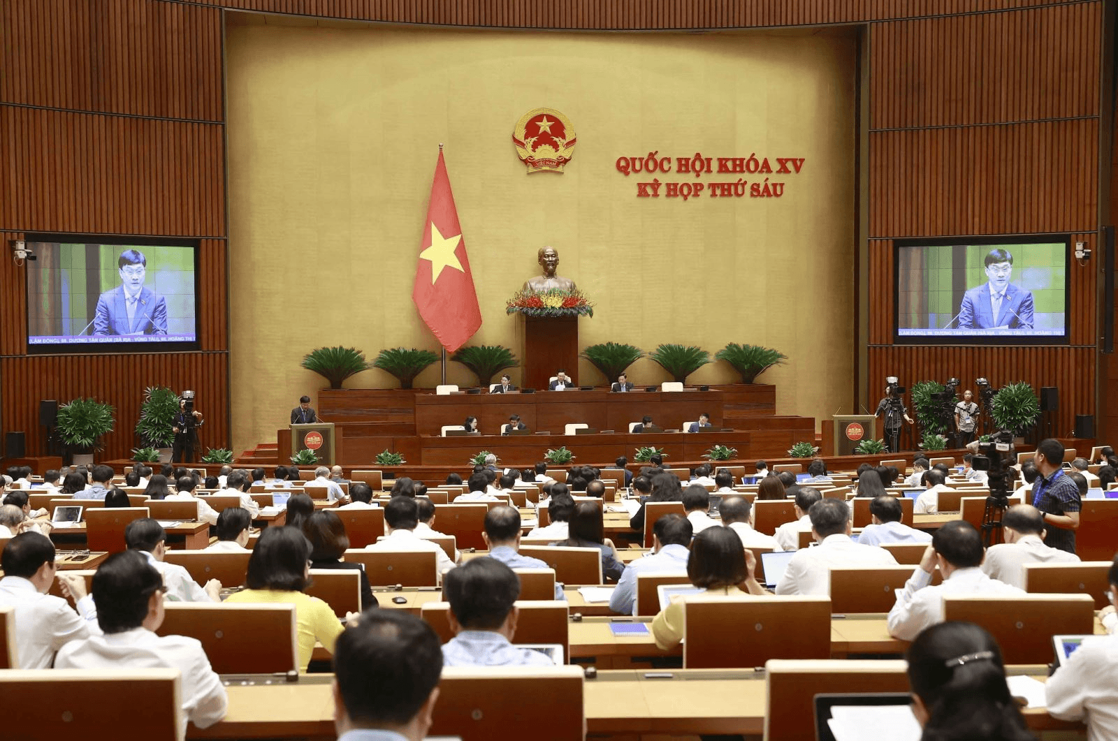Ý kiến cử tri