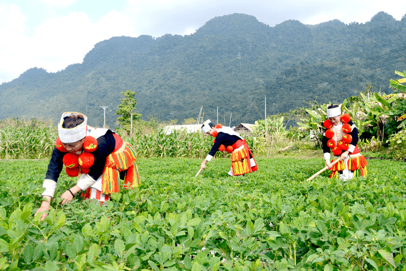 Hỏi-Đáp pháp luật: Nguồn vốn dự kiến thực hiện chương trình phát triển kinh tế- xã hội vùng đồng bào dân tộc thiểu số và miền núi
