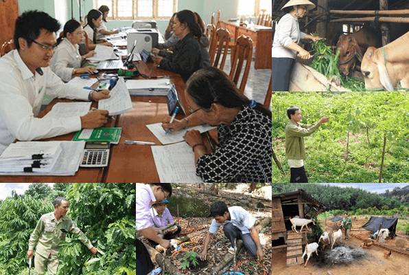 Hỏi-đáp pháp luật: Mục đích sử dụng vốn và thời hạn cho vay của chính sách tín dụng ưu đãi hỗ trợ đất sản xuất, chuyển đổi nghề