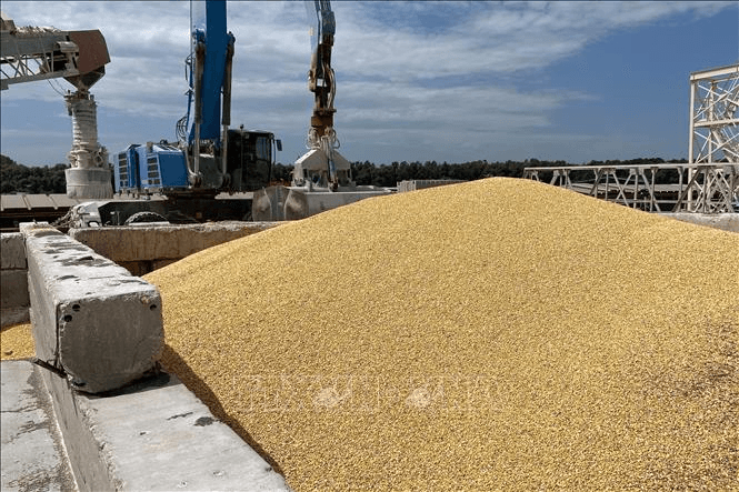 Ukraine sẽ nối lại xuất khẩu ngũ cốc sang Indonesia