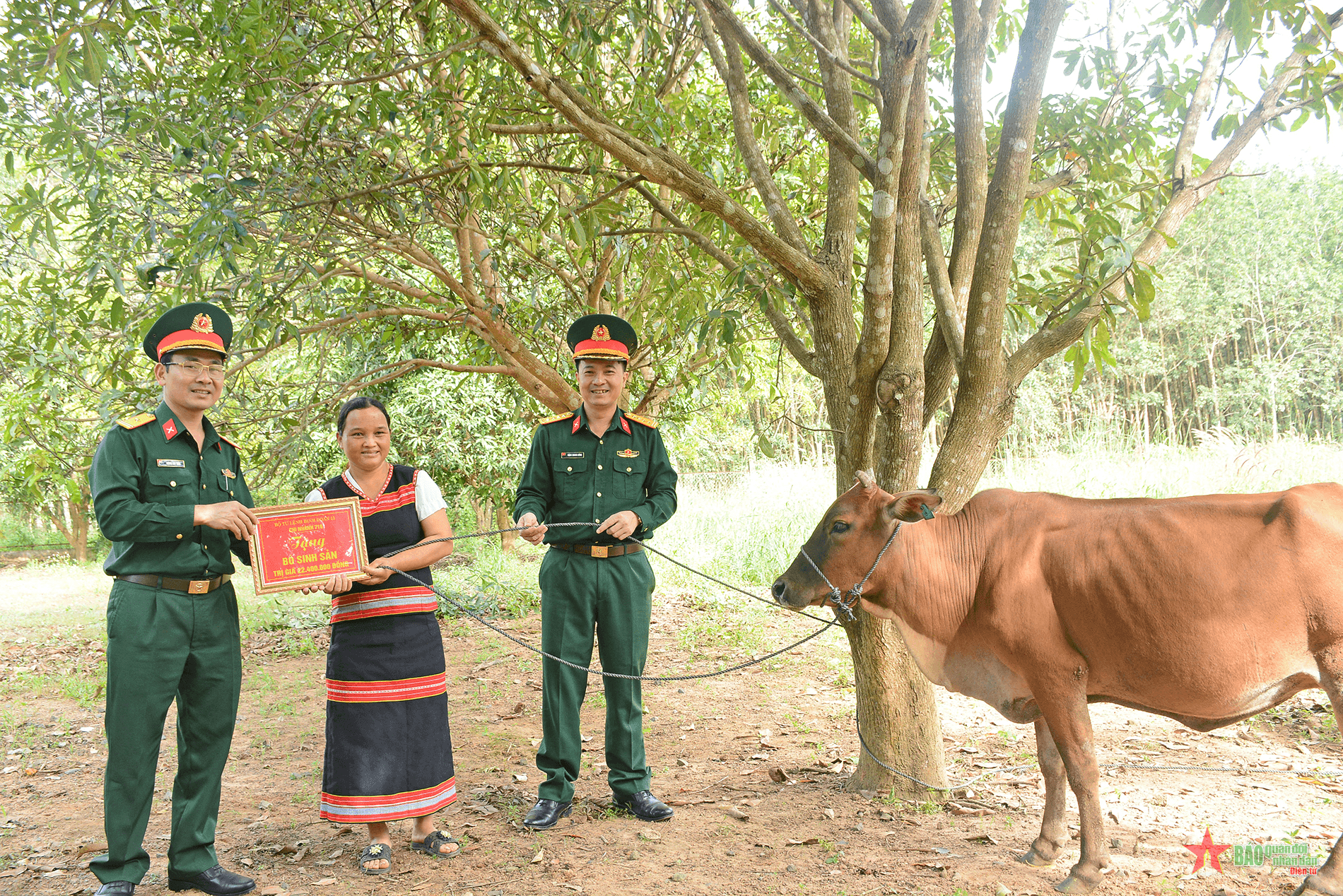 Chi nhánh 716 trao tặng bò giống sinh sản cho người dân huyện biên giới Ia H’Drai