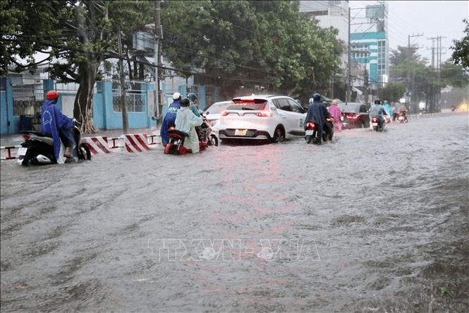 Ninh Thuận: Cho học sinh nghỉ học, bảo đảm an trong mưa lũ
