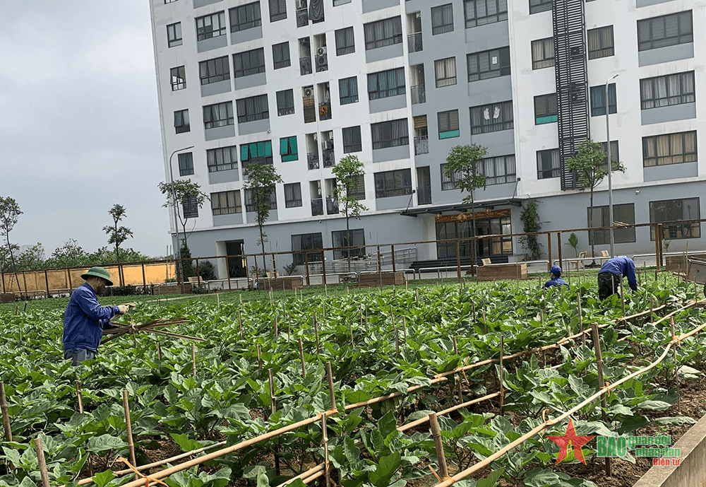 Nhiều mô hình tăng gia sản xuất hiệu quả ở Tổng cục Kỹ thuật