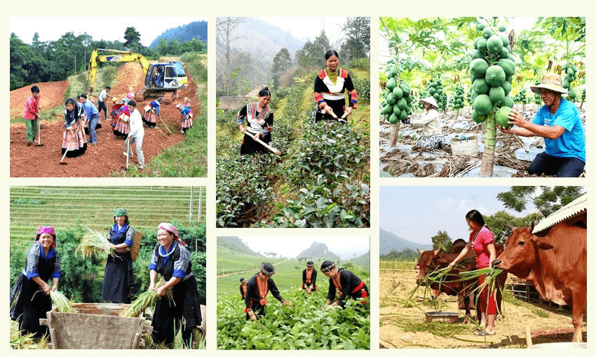 Hỏi-Đáp pháp luật: Đối tượng và địa bàn thực hiện hỗ trợ phát triển sản xuất, đa dạng hóa sinh kế cộng đồng