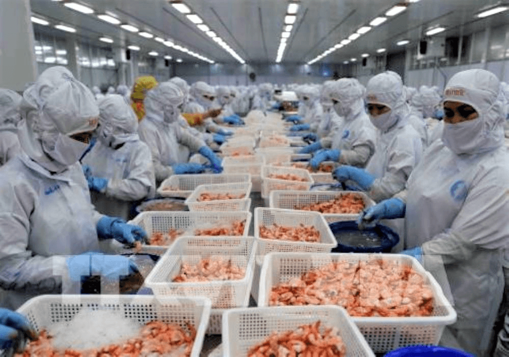 Tôm đứng đầu giá trị xuất khẩu các mặt hàng thủy sản Việt Nam