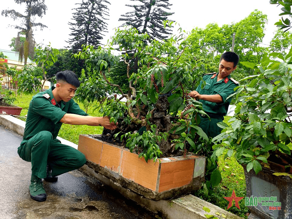 Ấn tượng Kho K380
