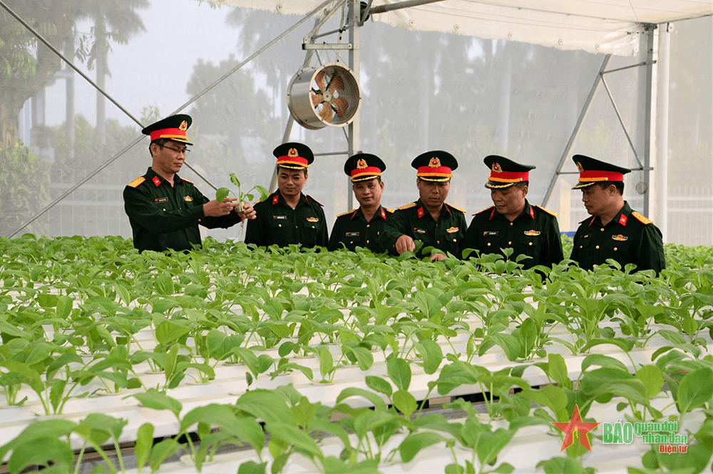 Từ nhà kho cũ thành mô hình điểm về tăng gia sản xuất