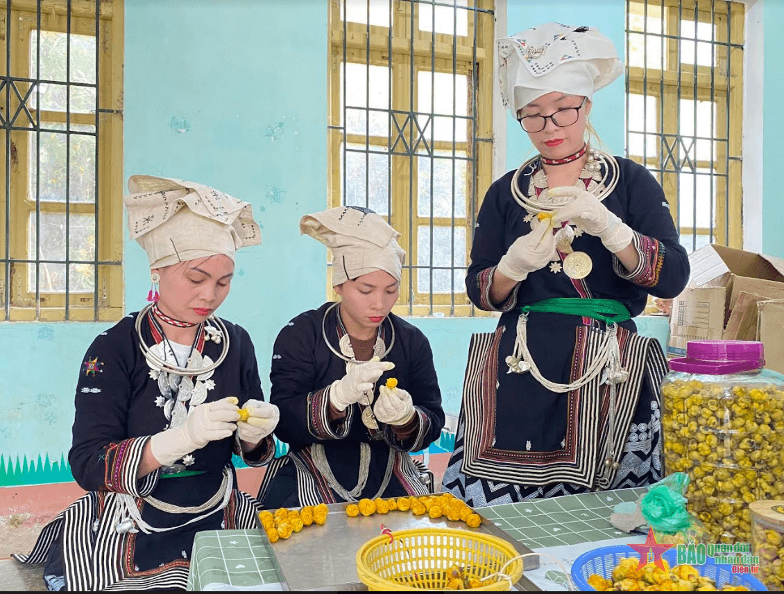Bắc Kạn: Phụ nữ vùng cao ứng dụng công nghệ thông tin trong phát triển kinh tế