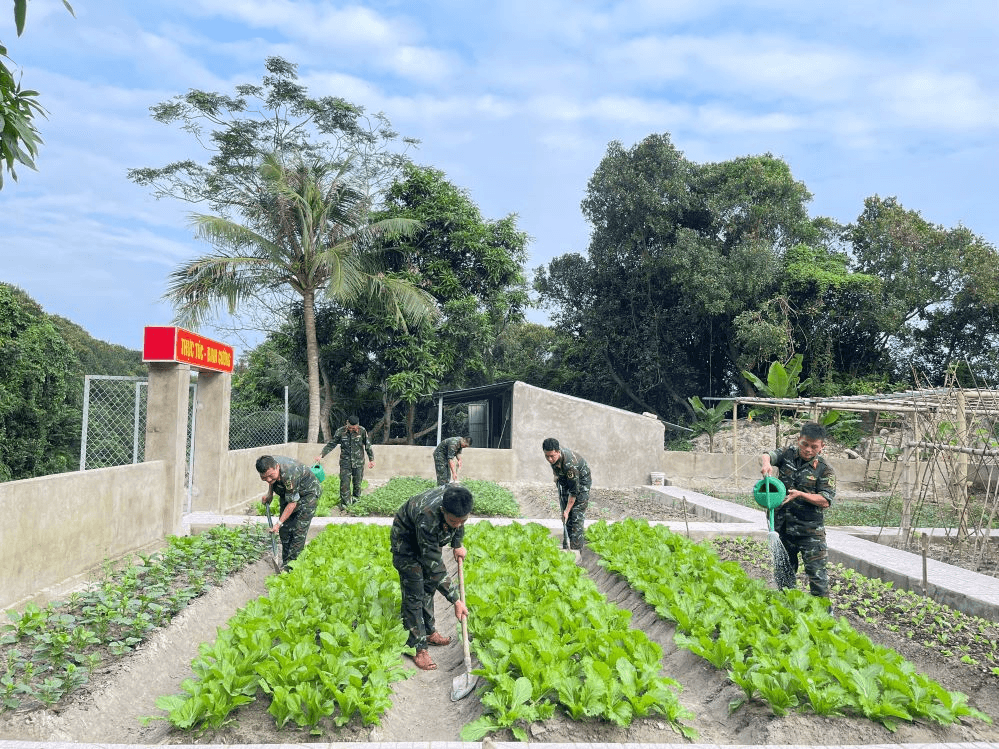 “Thực túc binh cường” ở Đảo Mắt