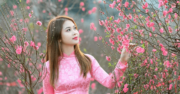 Cán bộ, công chức, viên chức Hà Nội nghỉ Tết Giáp Thìn 7 ngày liên tục