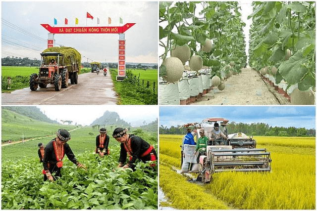 Hỏi-đáp pháp luật: Bồi dưỡng kiến thức dân tộc đáp ứng nhu cầu nhân lực cho vùng đồng bào dân tộc thiểu số