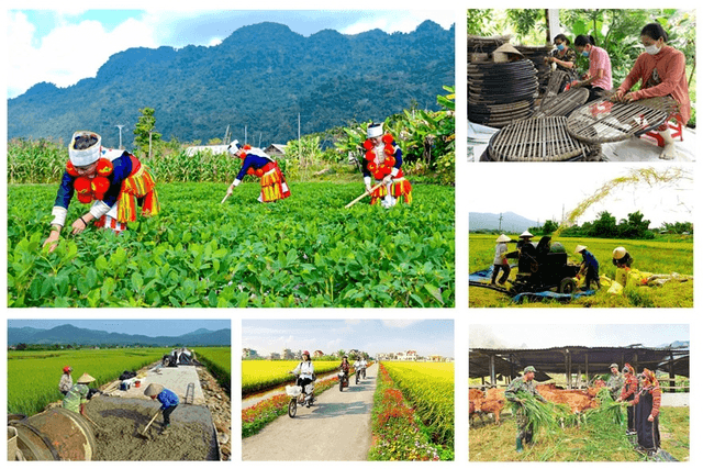 Hỏi-đáp pháp luật: Phân công bồi dưỡng kiến thức dân tộc đáp ứng nhu cầu nhân lực cho vùng đồng bào dân tộc thiểu số