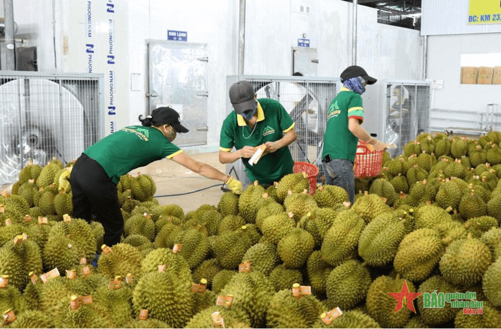Quan hệ Việt Nam - Trung Quốc phát triển trên những nền tảng tích cực, thuận lợi-Bài 2: Kinh tế, thương mại, đầu tư - Điểm sáng nổi bật trong hợp tác Việt Nam - Trung Quốc (Tiếp theo và hết)
