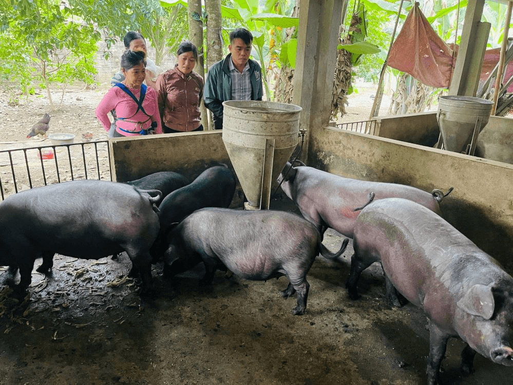 Khơi dậy ý chí tự lực, vươn lên thoát nghèo
