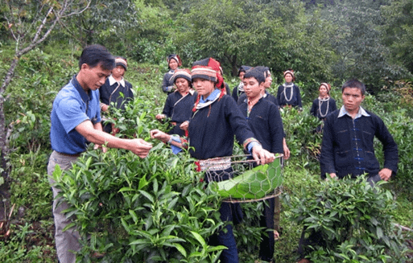 Hỏi-đáp pháp luật: Nội dung và mức chi đào tạo nâng cao năng lực cho cộng đồng và cán bộ triển khai chương trình ở các cấp