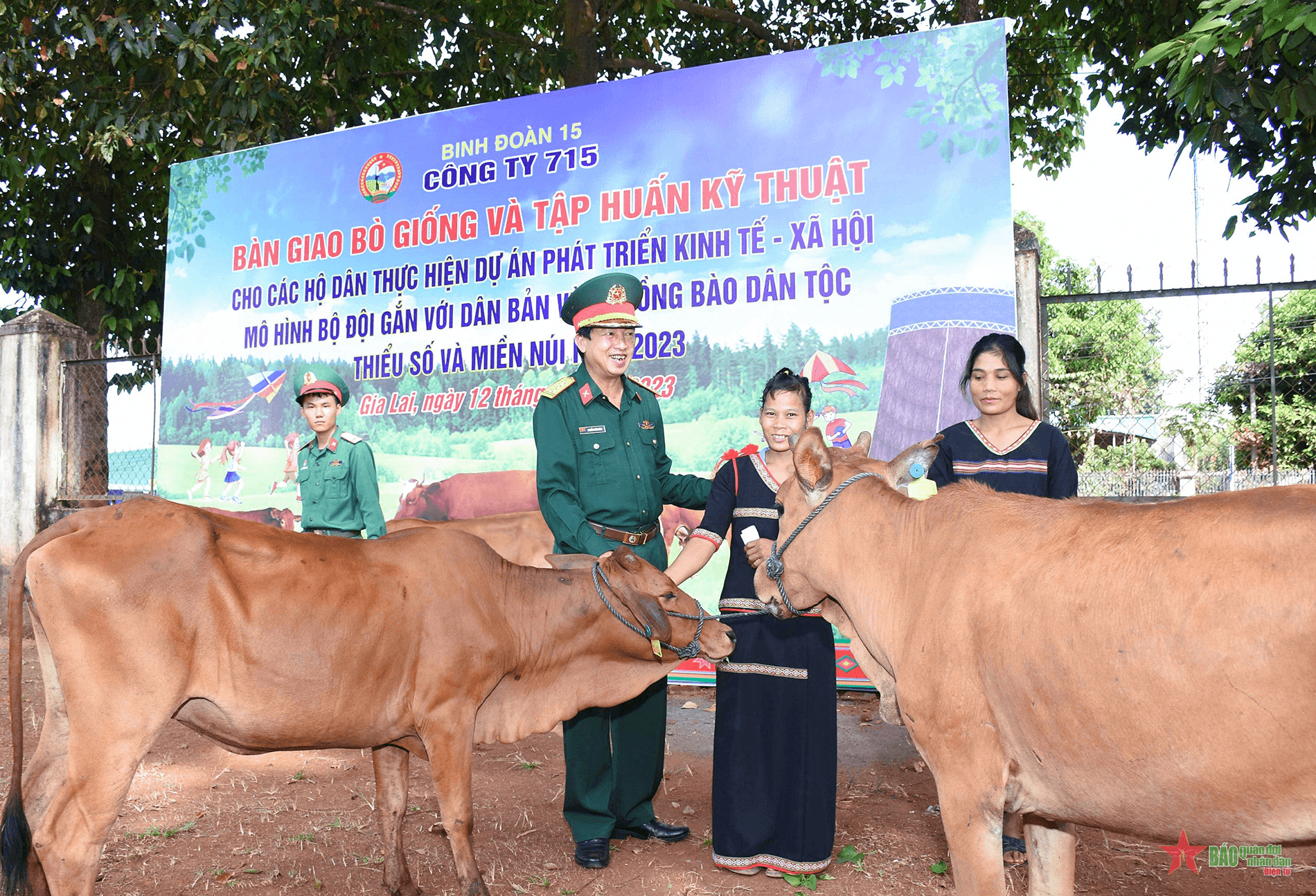 Công ty 715 (Binh đoàn 15) trao bò giống sinh sản tặng người dân huyện biên giới Ia Grai