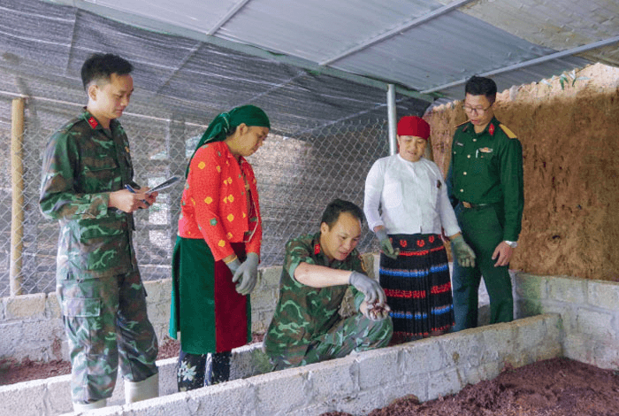Bộ đội hậu cần làm theo lời Bác Hồ dạy: Hiệu quả từ mô hình nuôi giun quế