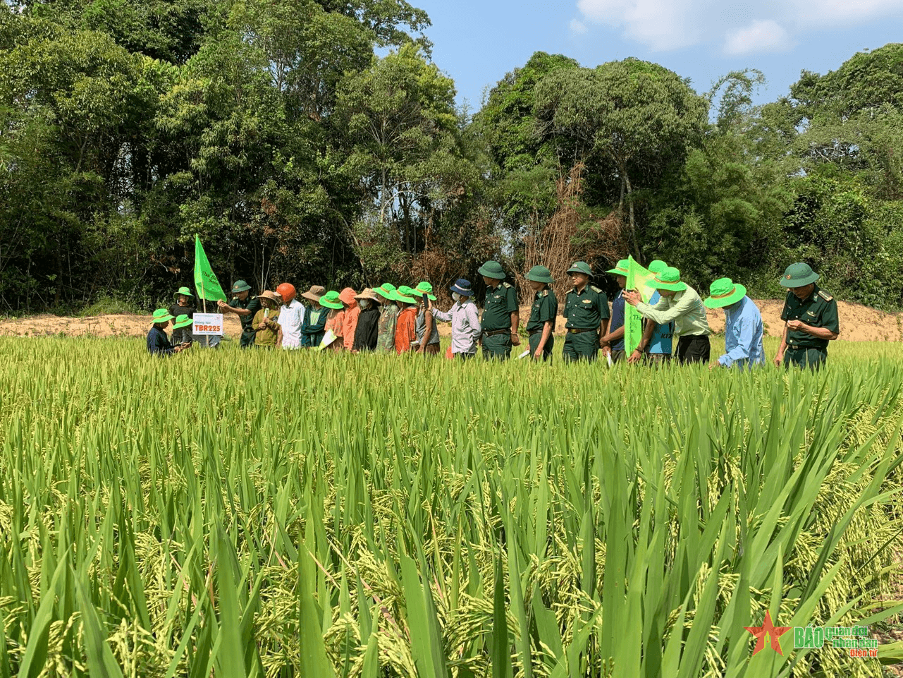 Xã biên giới Hướng Phùng khởi sắc