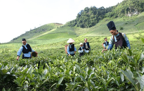 Hỏi-đáp pháp luật: Phát triển và nhân rộng mô hình tiết kiệm và tín dụng tự quản để tăng cường tiếp cận tín dụng, cải thiện cơ hội sinh kế, tạo cơ hội tạo thu nhập và lồng ghép giới