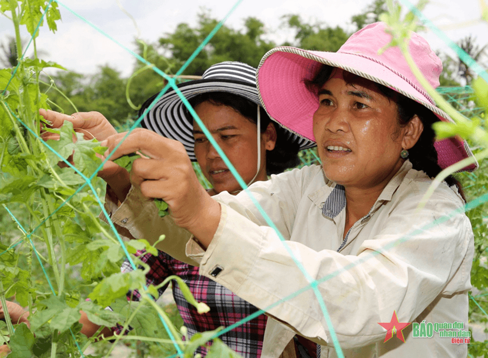 Chính sách tín dụng giúp đồng bào vươn lên