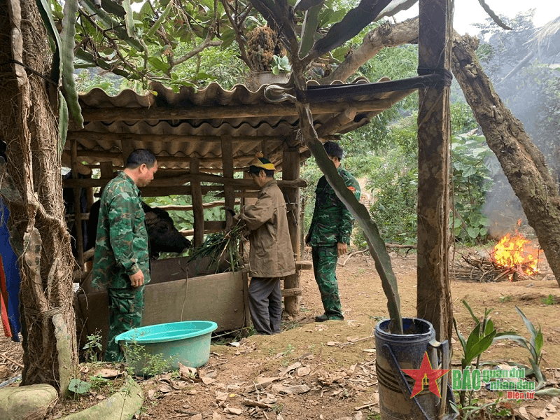 Hỗ trợ người dân chống rét cho vật nuôi