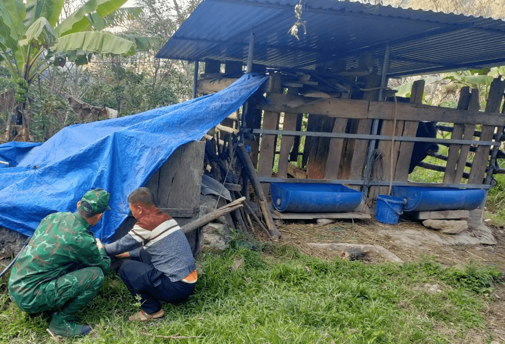 Đồn Biên phòng cửa khẩu quốc tế Nậm Cắn hỗ trợ người dân ứng phó giá rét cho vật nuôi