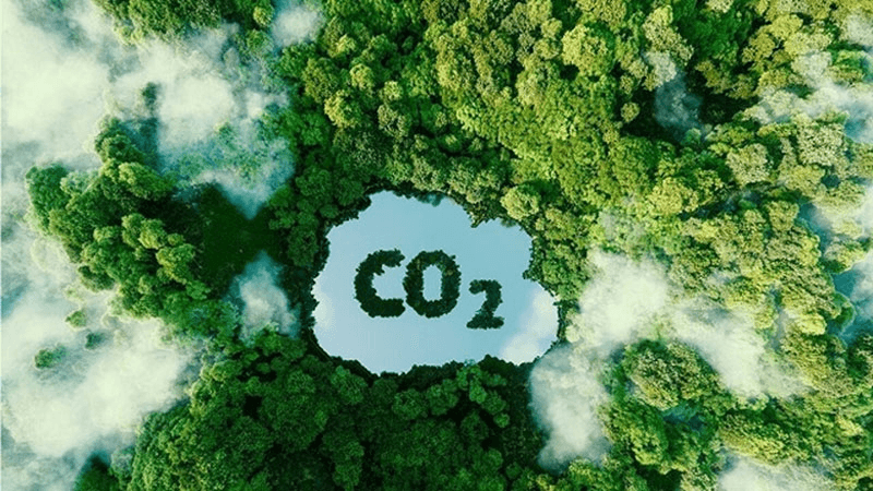 Tiềm năng tín chỉ carbon