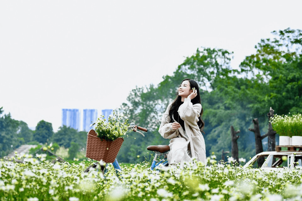 Thời tiết hôm nay (29-12): Miền Bắc rét khô, Trung Bộ có mưa lớn