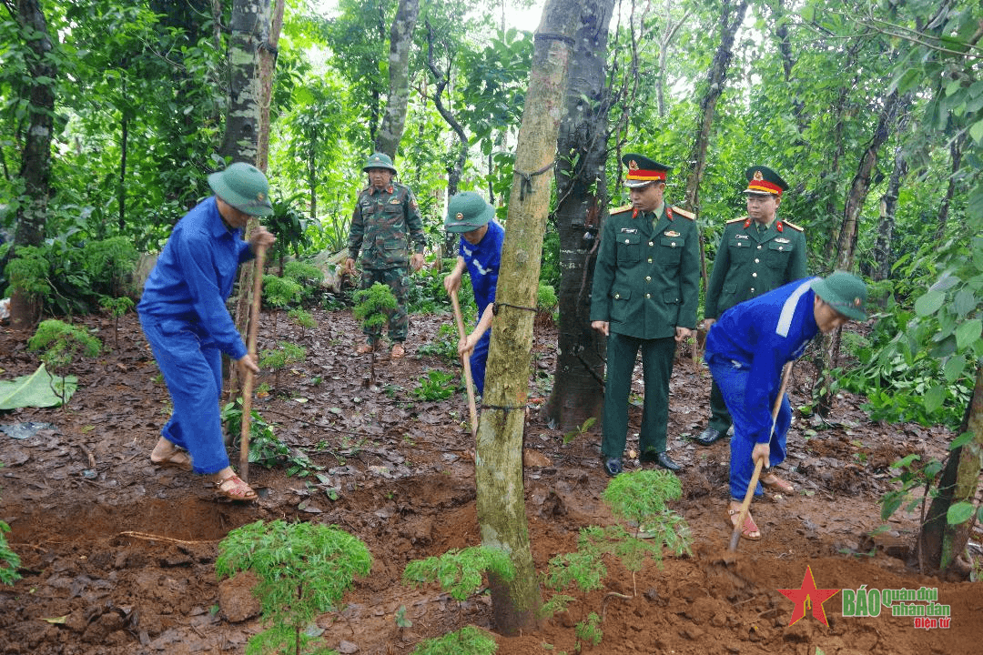 Sư đoàn 968 (Quân khu 4) quy tập 1 hài cốt liệt sĩ tại Cam Lộ, Quảng Trị