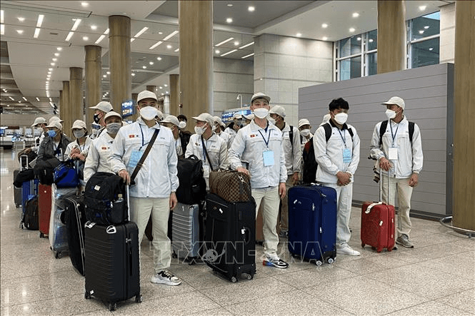 Bắt đầu thi tiếng Hàn cho lao động theo chương trình EPS từ tháng 3-2024