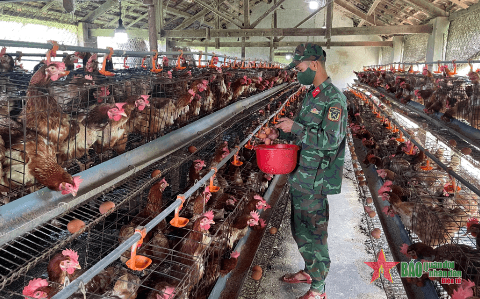 Trung đoàn 95 vượt khó, tăng gia giỏi