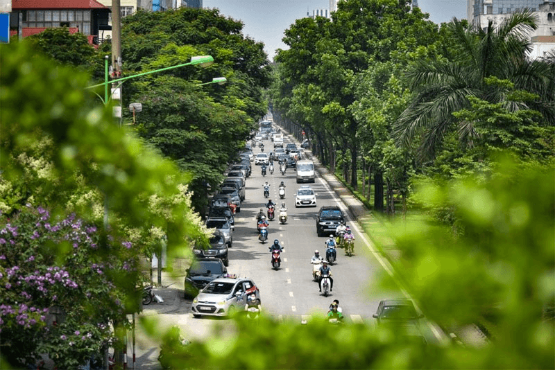 Dành đất vàng cho cây xanh