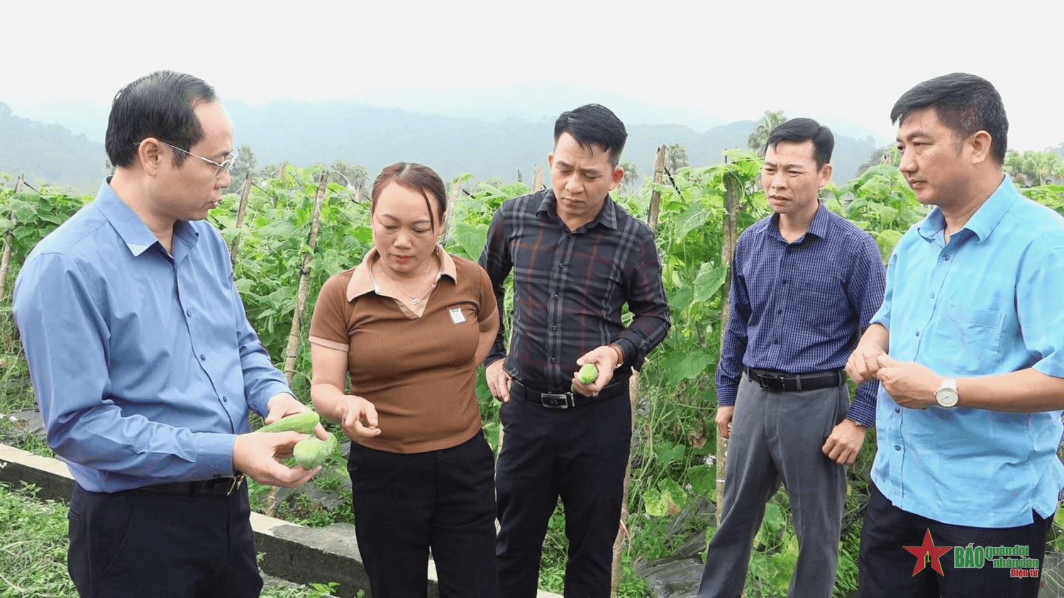 Thúc đẩy khởi sự kinh doanh, khởi nghiệp trong vùng đồng bào dân tộc thiểu số