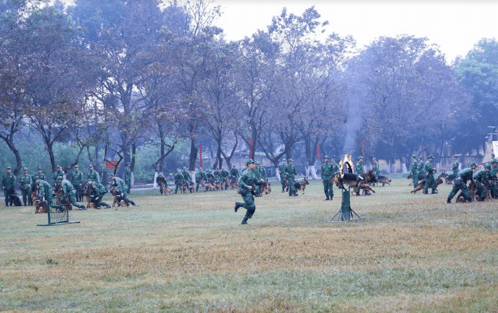 Đoàn công tác Học viện Quốc phòng tham quan, nghiên cứu thực tế tại Trường Trung cấp 24 Biên phòng