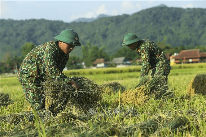 Cán bộ Quân đội “7 dám” là phẩm chất Bộ đội Cụ Hồ trong giai đoạn hiện nay
