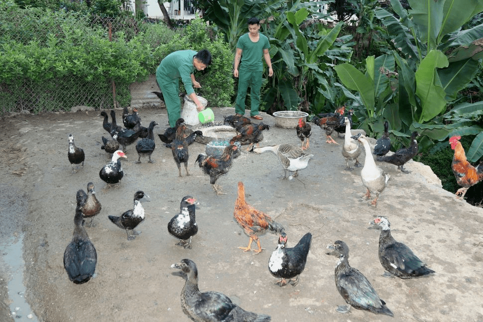 Nỗ lực giúp đồng bào vùng biên thoát nghèo
