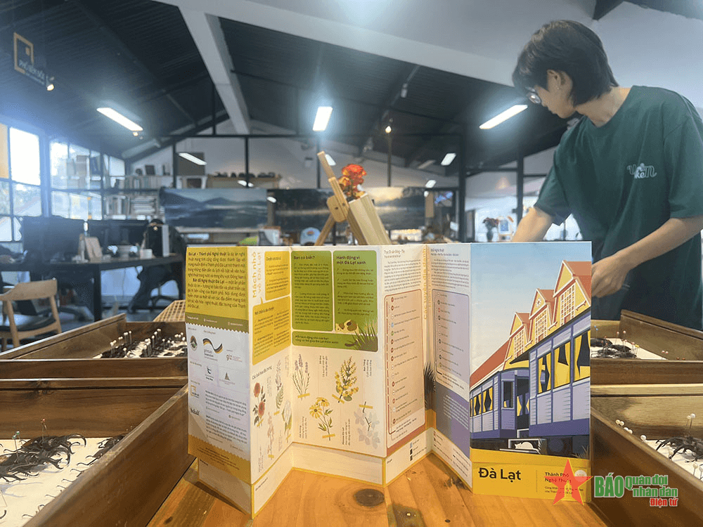 Bản đồ nghệ thuật ở thành phố ngàn hoa