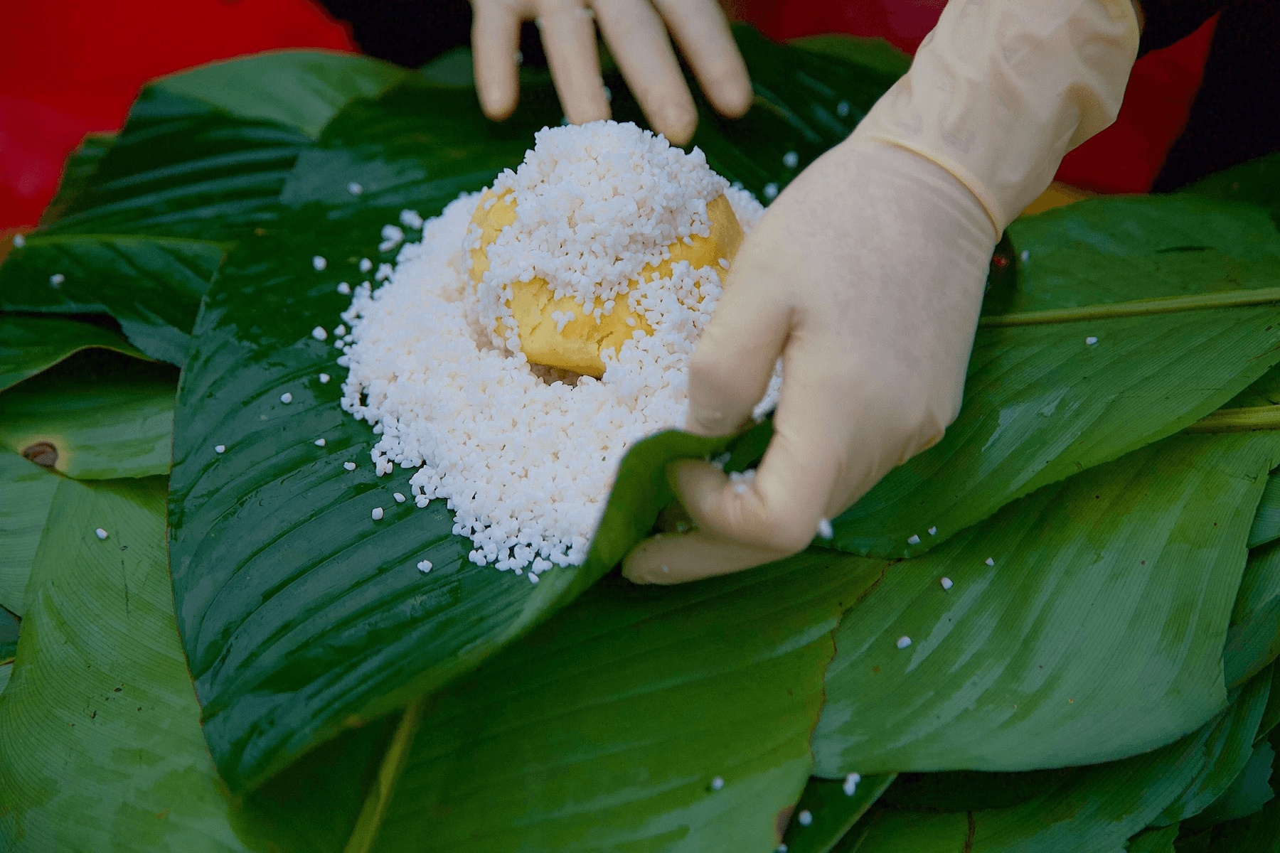 Bánh chưng Tranh Khúc cưỡi mây, vượt sóng xuất ngoại