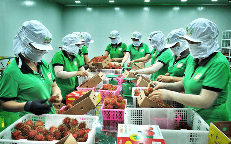 Nửa đầu tháng 1, xuất khẩu hàng hóa của Việt Nam tăng 4,1%